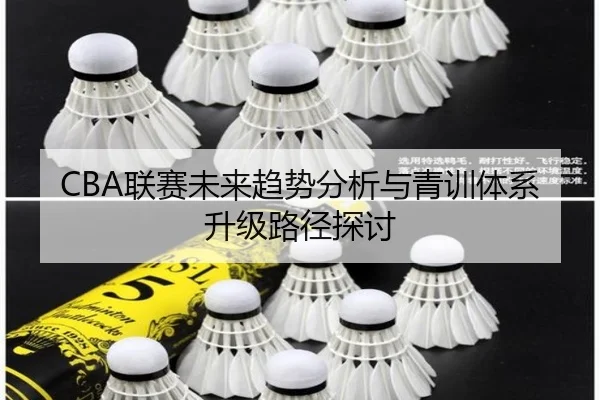 CBA联赛未来趋势分析与青训体系升级路径探讨